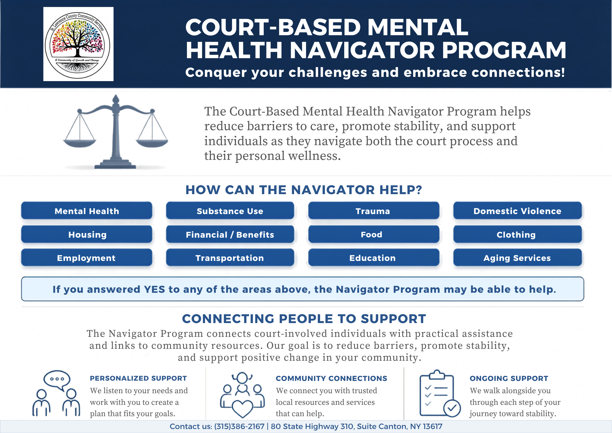 Mental Health Court Based Navigator Graphic